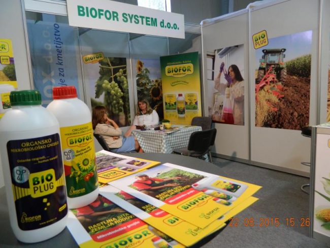 Organska ulica u Beogradu