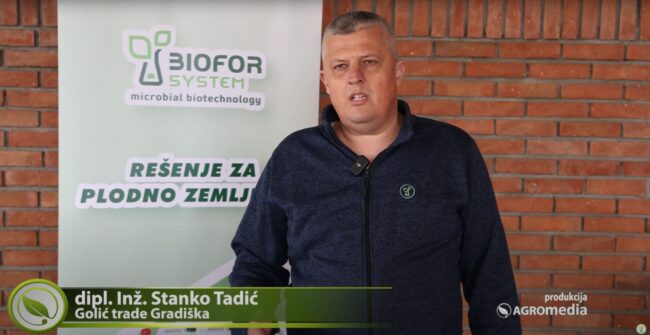 stanko-tadic-golic-trade